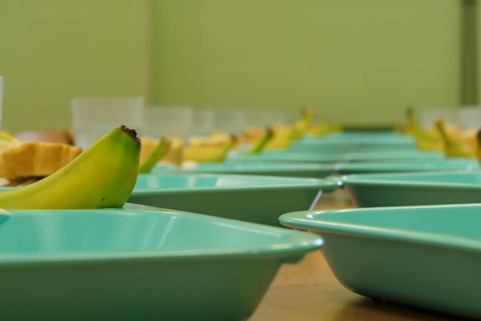 Empresa de catering para comedores escolares en Madrid | SECOE Empresa de catering para comedores escolares en Madrid | SECOE